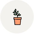 icon2 icon2
